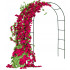 Arka - atrama gėlėms ir vijokliniams augalams 240x140cm 8902