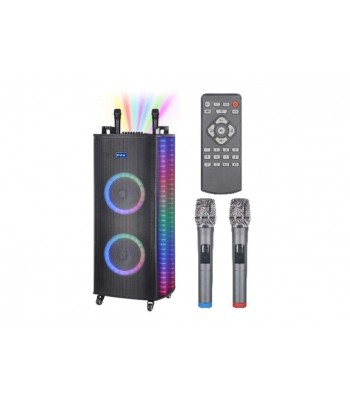 Belaidė Bluetooth kolonėlė - garsiakalbis su RGB LED šviesomis GZ-A1010/NDR-A1010s