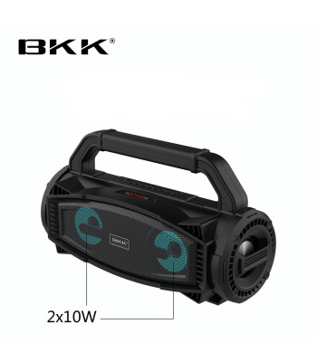Nešiojama pakraunama Bluetooth kolonėlė su mikrofonu BKK B99