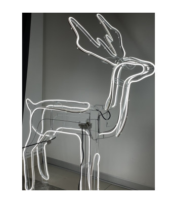 LED 3D JUDANTIS NEONINIS elnias L - 9m