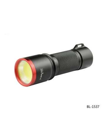 Prožektorius 15W COB LED