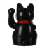 Kot chiński - czarny