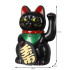 Kot chiński - czarny