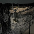 Šikšnosparnio skeletas - helovyno dekoracija 30cm