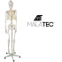Žmogaus skeletas – 170cm Malatec 22583