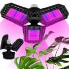 Lempa augalų augimui su 108 LED