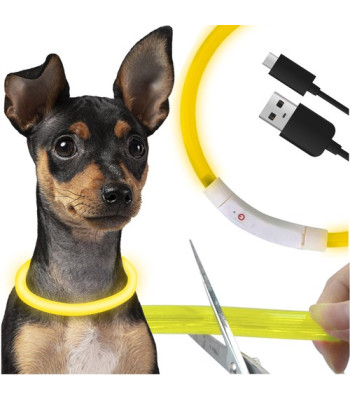 Šviečiantis LED antkaklis šunims ir katėms su USB įkrovimu ir reguliuojamu ilgiu