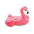 Pripučiama čiužinys flamingas INTEX 57558