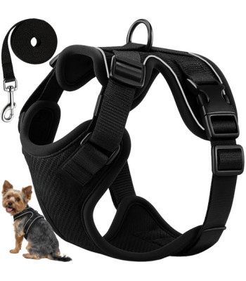 Purlov Guard Bezspaustinės Saugos Petnešos S