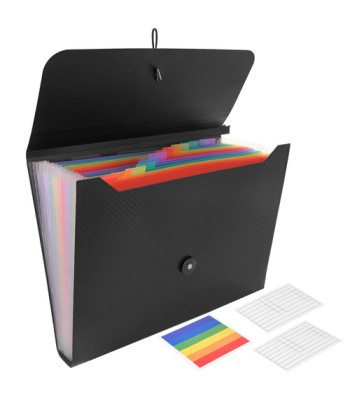 Dokumentų segtuvas Maaleo 13 skyrių