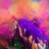 Spalvotų holi miltelių rinkinys 6 × 100 g