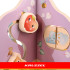 Edukacinis medinis žaislas – medelis Kruzzel 10w1, 195 x 305 mm