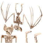 Šikšnosparnio skeletas – velykinė dekoracija, GLIMZ, 30 cm