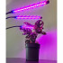 Augalų auginimo LED lempa su laikmačiu ir nuotolinio valdymo pultu, Gardlov 19242, 20 LED, 3 vnt.
