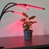 Augalų auginimo LED lempa su laikmačiu ir nuotolinio valdymo pultu, Gardlov 19242, 20 LED, 3 vnt.