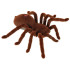 Nuotoliniu būdu valdomas tarantulas
