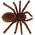 Nuotoliniu būdu valdomas tarantulas