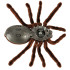 Nuotoliniu būdu valdomas tarantulas