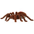 Nuotoliniu būdu valdomas tarantulas