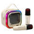 Kreminė karaoke kolonėlė su USB ir Bluetooth