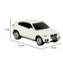 Nuotoliniu būdu valdomas automobilis Rastar 31700 BMW X6 1:24 baltas