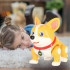 Interaktyvus žaislas - Corgi šuo