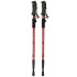 Kijki trekkingowe do nordic walking