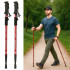 Kijki trekkingowe do nordic walking
