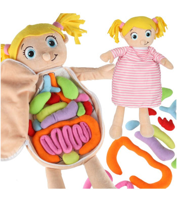 Anatominė lėlė mergaitė