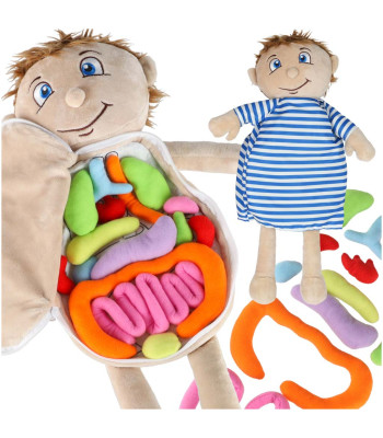 Anatominė lėlė - mokomoji priemonė vaikams