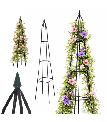 Stožkinė Pergola Sodo Augalams