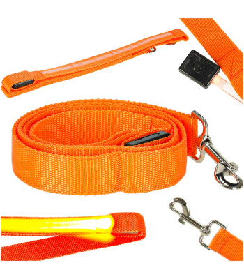 Šviečiantis LED pavadėlis šunims ir katėms, oranžinis 2,5 cm x 120 cm