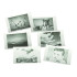 Momentinis fotoaparatas vaikams „Meškiukas“, rožinis, 10,5 cm x 9 cm x 4 cm