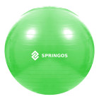 Mankštos kamuolys su pompa Springos FB0007 65cm