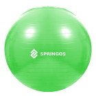 Vingavimo kamuolys su pompa Springos FB0007 65 cm