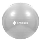 Mankštos kamuolys su pompa Springos FB0008 75cm