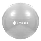 Vingrošanas kamuolys Springos FB0008 75 cm
