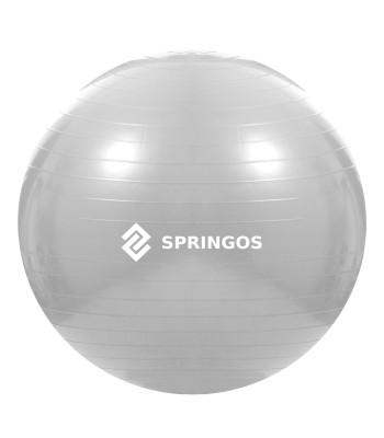 Mankštos kamuolys su pompa Springos FB0008 75cm