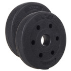 Svorio diskas Springos FA1023 1,25 kg