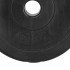 Svorio diskas Springos FA1504 2,5kg