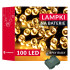 LED Girlianda su Taimeriu