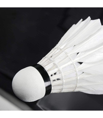 Badmintono volanai Springos KG0009