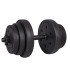 Hantelės Springos FA1043 2 x 10 kg