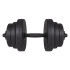 Hantelės Springos FA1043 2 x 10 kg