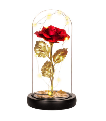 Amžina rožė stiklinėje Springos HA5160