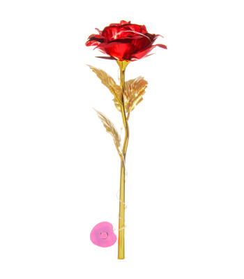 Amžina Rožė Springos HA5158, 25 cm, LED Apšvietimas, Raudona Gėlė