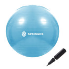 Mankštos kamuolys su pompa Springos FB0006 55cm