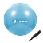 Vingrojimo kamuolys su pompa Springos FB0006 55cm