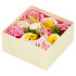 Gėlių dėžutė Springos HA7446