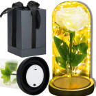 Springos® LED Lempa